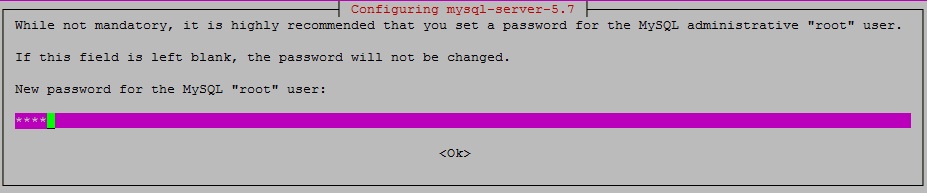 mysql-server-password-prompt-page-pic