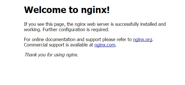 nginx-main-page-pic